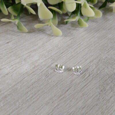 TORNILLOS DE PLATA (PAR)