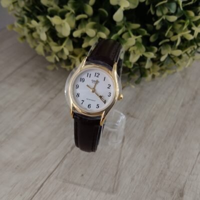 Reloj Casio LTP-1094Q