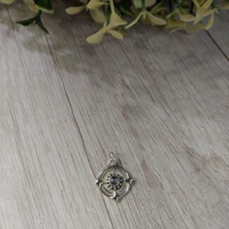 Colgante plata circulo con piedra luna