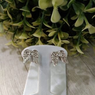 Aros plata alas