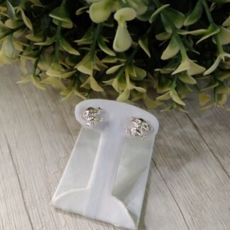 Aros plata calavera