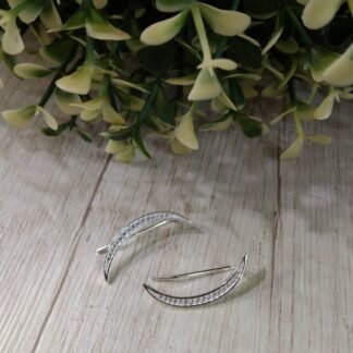 Aros plata circones trepador