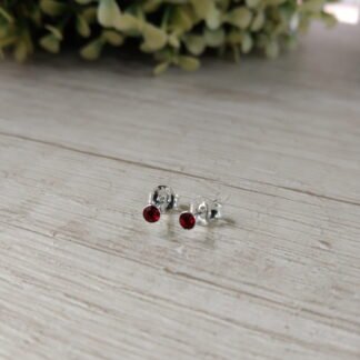 Aros circ?n rojo 2 mm