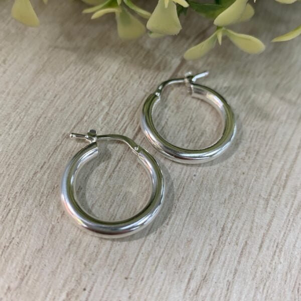 Aros plata argollas tubo 20 mm