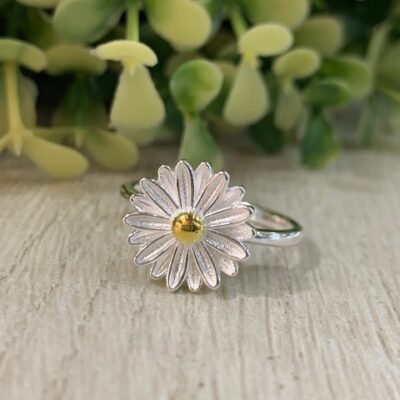 Anillo Plata Margarita n?9