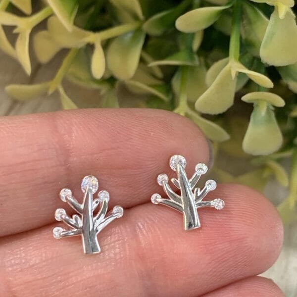 Aros Plata Árbol circones
