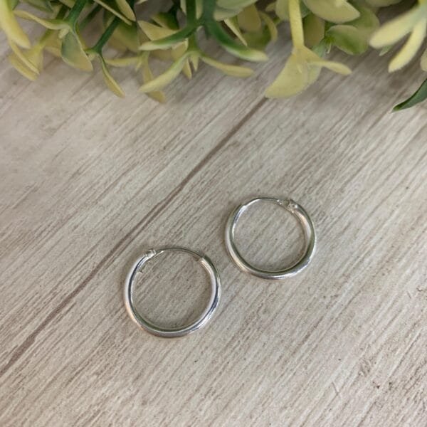 Aros plata argolla lisa 16mm