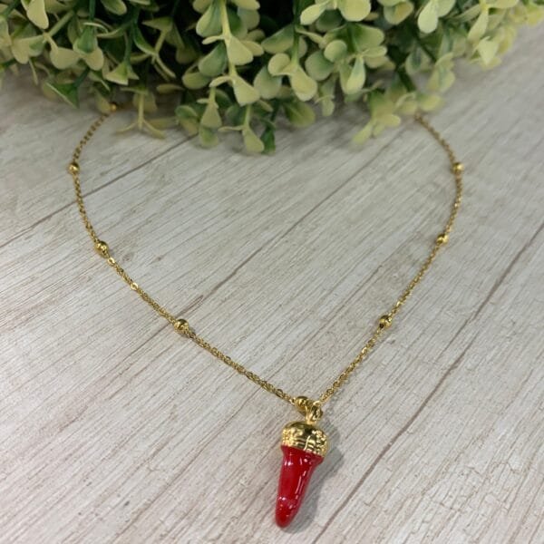 Collar acero Aji Chile ancho