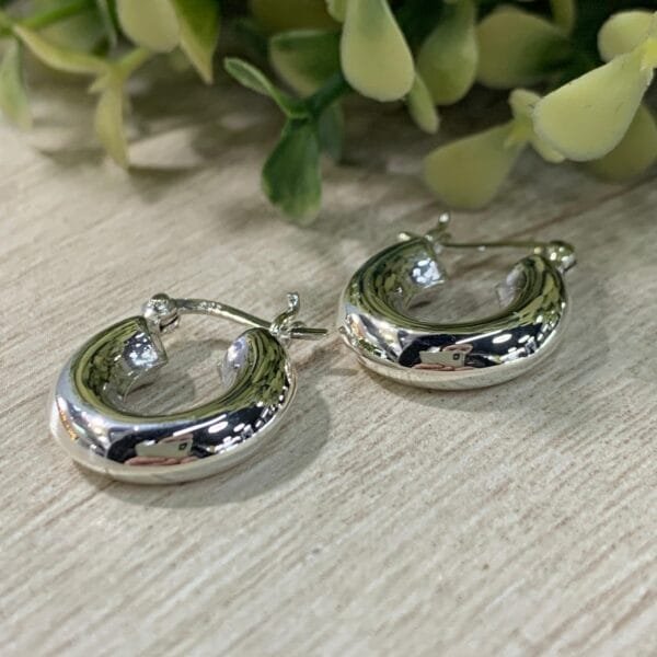Aros argolla plata tubo 16,5 mm