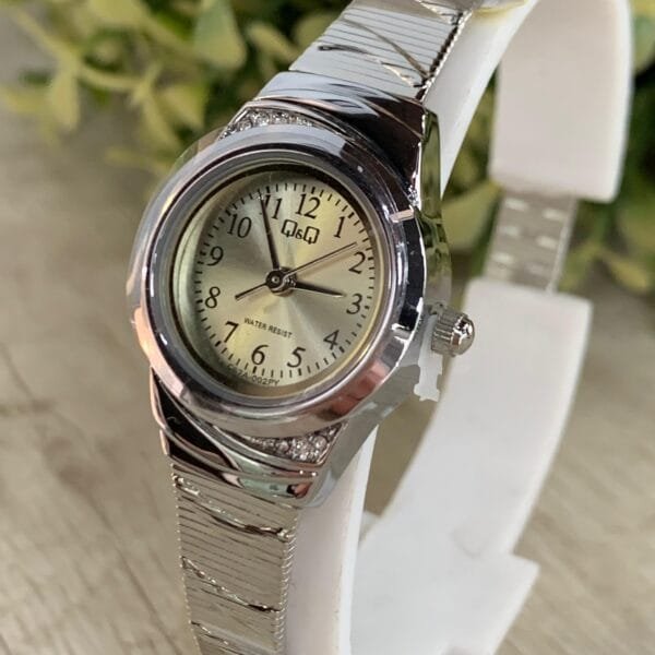 Reloj Q&Q C67A-002PY