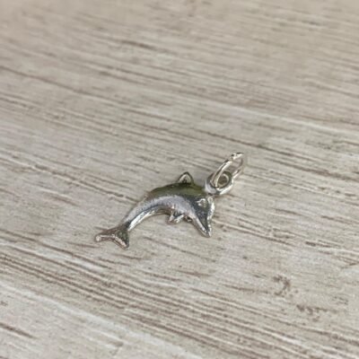 Colgante plata delfin