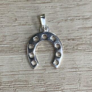 Colgante plata herradura
