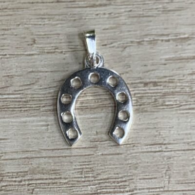 Colgante plata herradura