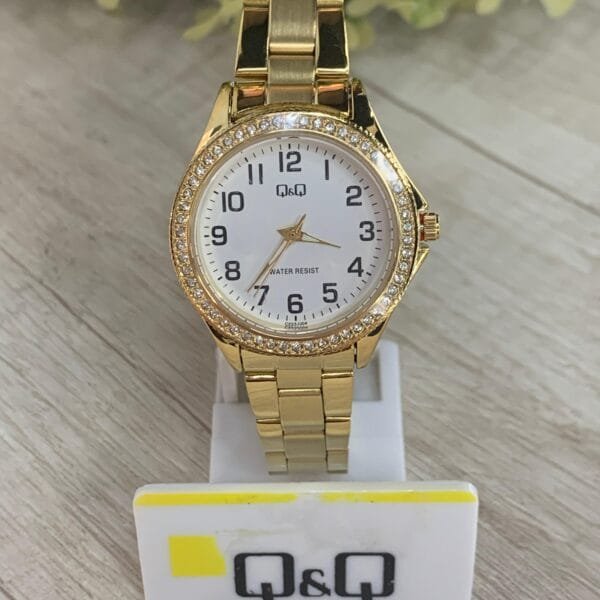 Reloj Q&Q C223-004