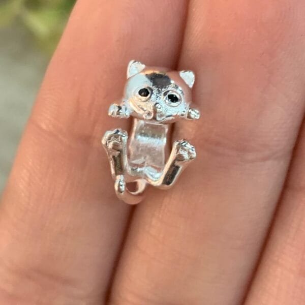 Charm plata gato enrollado