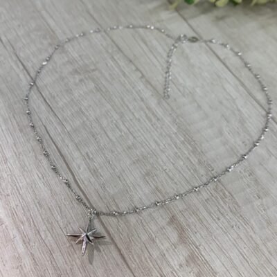 Collar plata rodinada estrella del norte