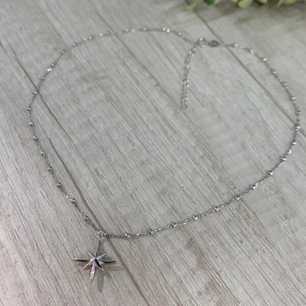 Collar plata rodinada estrella del norte